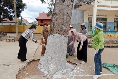KHI NGÔI TRƯỜNG KHOÁC ÁO MỚI, CHÚT TÌNH GỬI LẠI TRƯỚC THỀM XUÂN